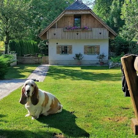 Vila Jana Radovljica Dış mekan fotoğraf