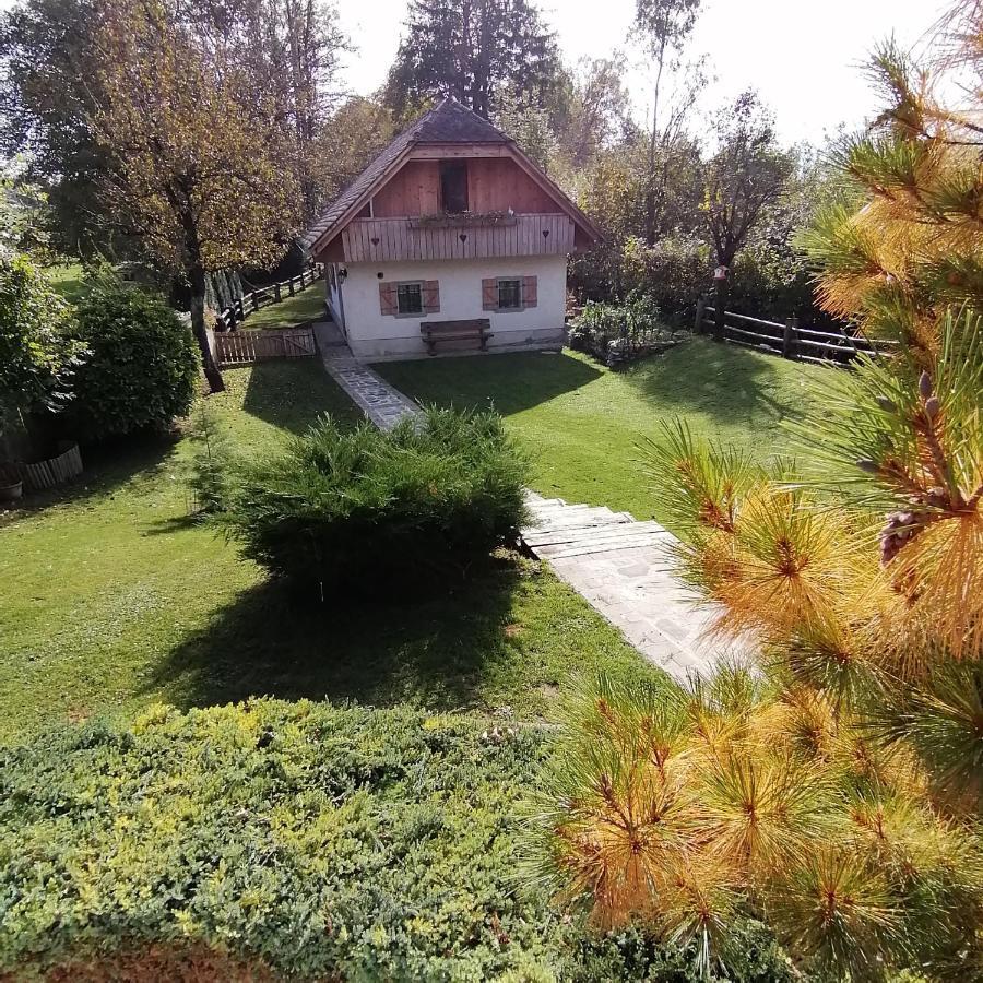 Vila Jana Radovljica Dış mekan fotoğraf